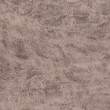 QUEST LILAC-2