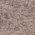 QUEST LILAC-2